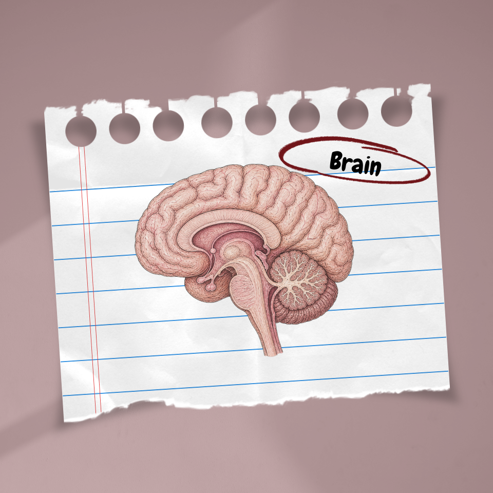 Illustration for The Mood Chapter